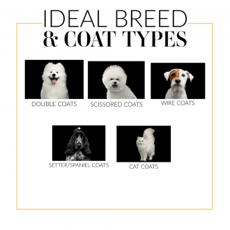 999387_ideal_breed