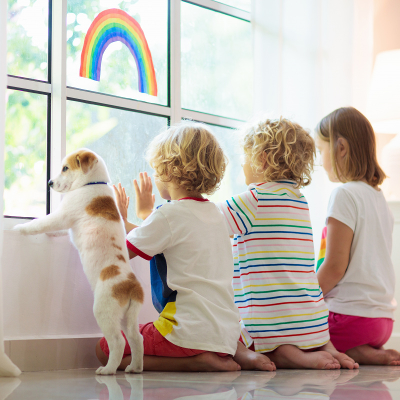Hunde und Kinder - so klappt das Zusammenleben