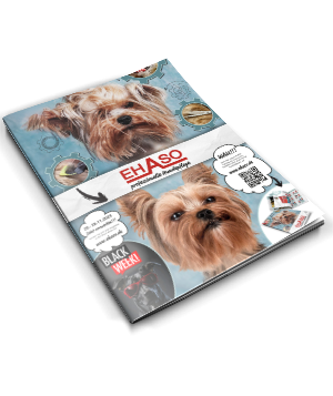 Professionelle Hundepflege ? | EHASO Hundepflege