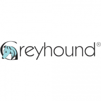 Greyhound