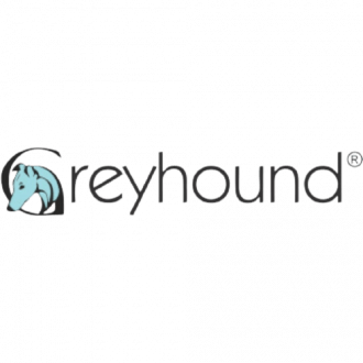 Greyhound