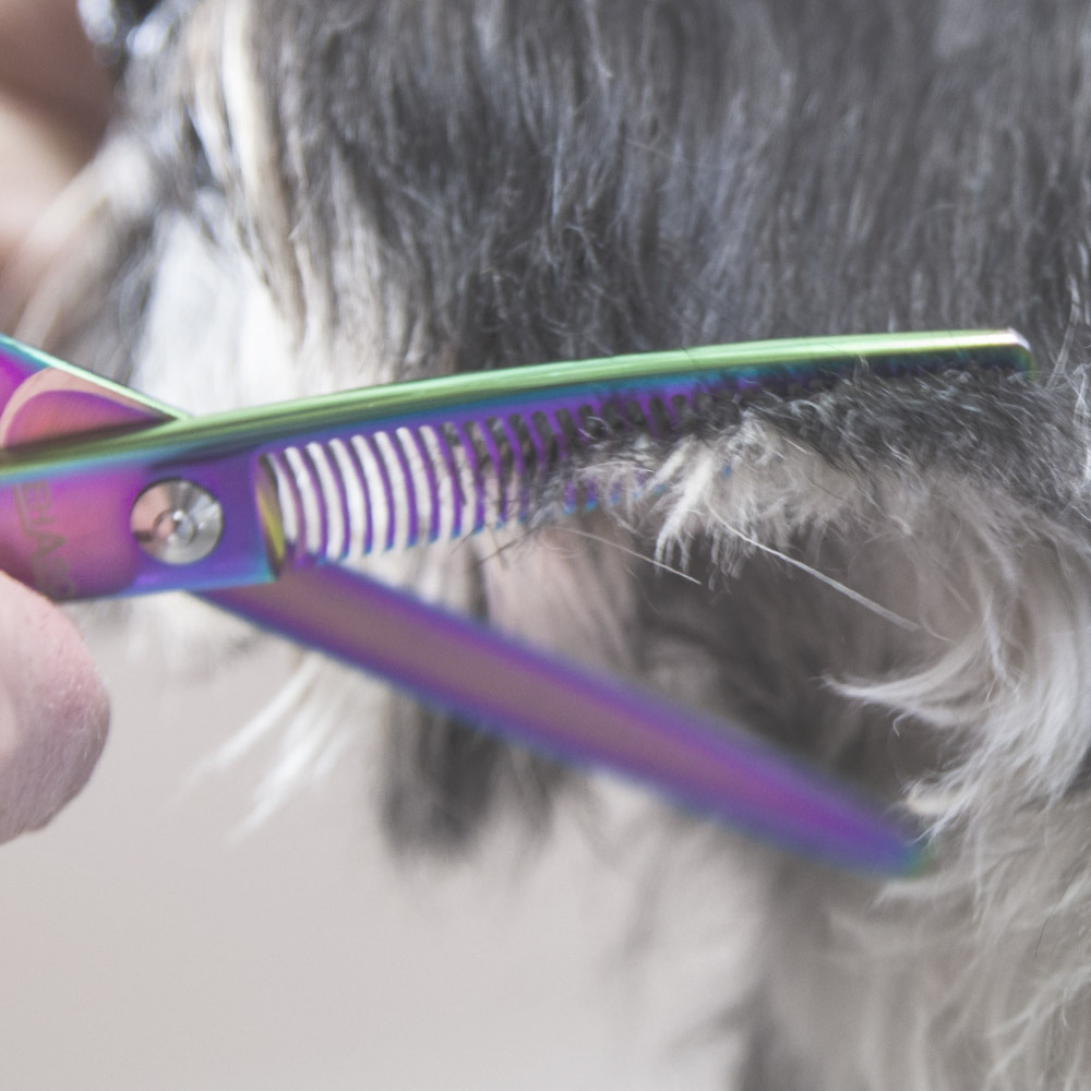 Revolution Blue Titanium Modellierschere 17 cm, 33er Zahnung EHASO