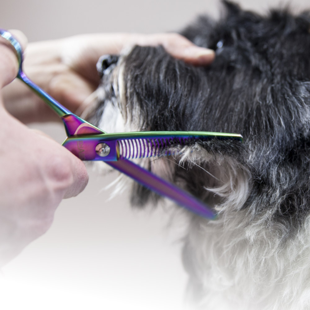 Revolution Blue Titanium Modellierschere 17 cm, 33er Zahnung EHASO