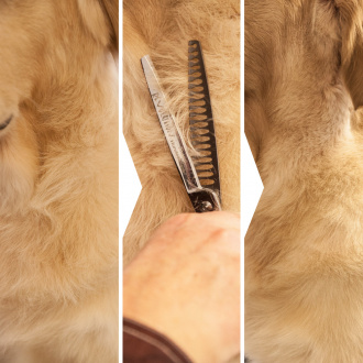 Revolution-Modellierschere-20-er-Zahnung-21-cm