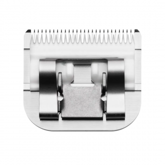 24083_size_10ft_back