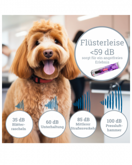 Vorteile mit Hund dargestellt