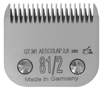 Rückseite von Scherkopf