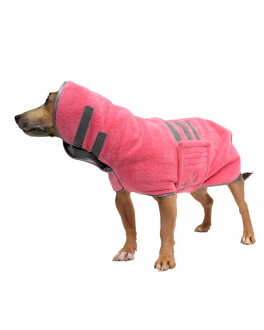 Hund im Bademantel