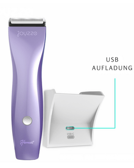 Maschine in Frontansicht mit Akkuladestation