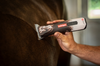 Pderschur Nahaufnahme