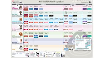 175246_progroom_chart_a0_2025_fr_ansicht