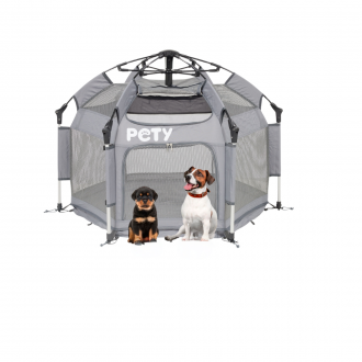 Zwei kleine Hunde stehen vor dem Pety