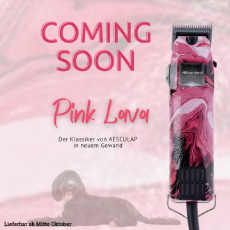 Coming Soon Teaser