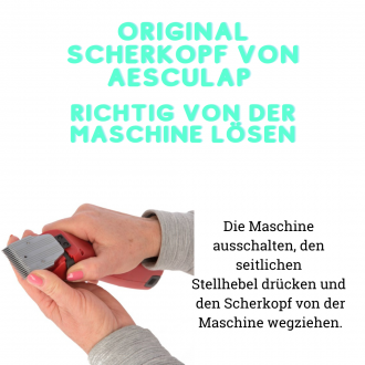 Richtiges Abmachen des Kopfes textlich dargestellt