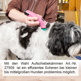 Maschine schert den Rücken vom Hund