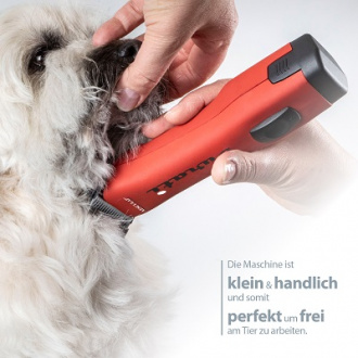 Maschine schneidet Hals von lockigen Hund