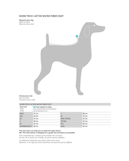 Tabelle, welche Rasse welche Größe