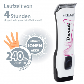 Laufzeit-wird-erläutert