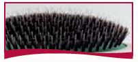 Imperial-Ionic-Brush-Large