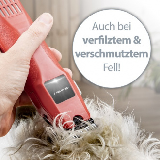 Maschine schneidet durch lockiges Fell