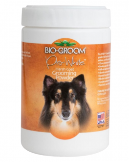 Dose von vorne abgebildet