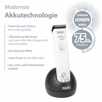 Akkutechnologie der Maschine textlich dargestellt