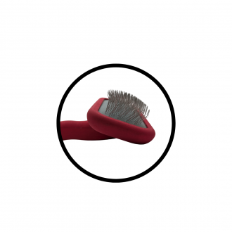 Liegend, Zinken in Großaufnahme