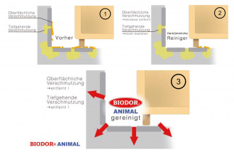 BIODOR Animal-Geruchsentferner-Sprühflasche-750-ml
