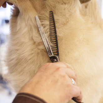 349068_scheren_kapitel_bildmaterial_17