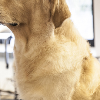 352510_scheren_kapitel_bildmaterial_18