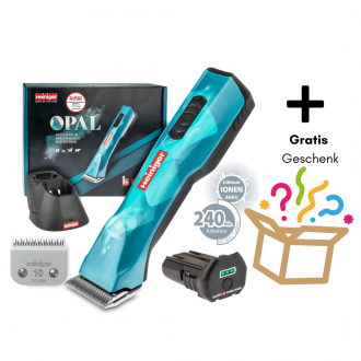 maschine mit Lieferumfang gratis Blad Care