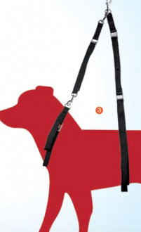 Bildliche Darstellung Schlaufe an Hund