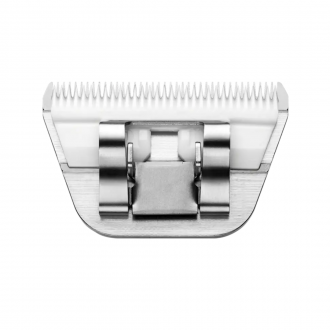 Scherkopf Rückseite