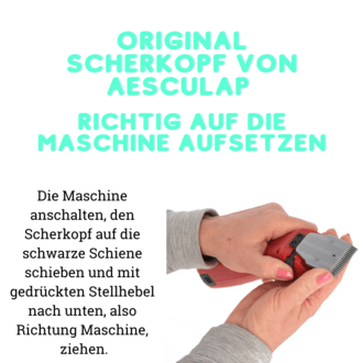 Richtiges Abmachen des Kopfes textlich dargestellt