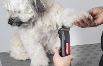 436779_29822_detail_3