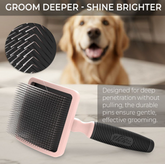 _liegend_mit_grossaufnahme_pins