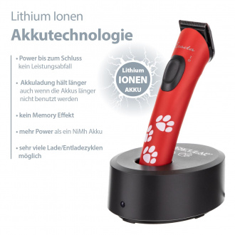 Akkutechnologie textlich beschrieben