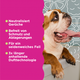 Vorteile vom shampoo