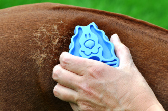 Kong-Massagebürste-Zoom-Groom