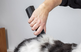 509192_29822_detail_2