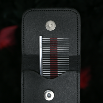 Kamm liegt auf Lederhülle großansicht