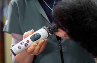 Maschine schert Pfote aus