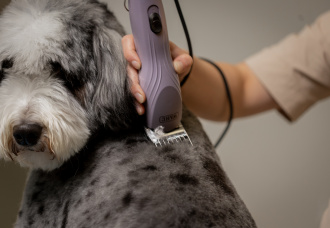 Maschine in Anwendung