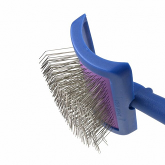 Bürstenkopf Großaufnahme