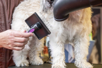 Smart-Universal-Card-Zupfbürste