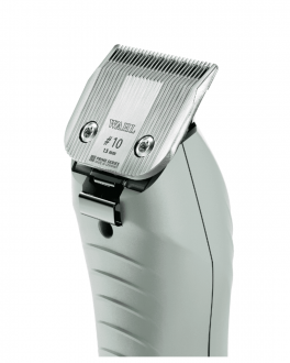 Seitliche Rückansicht