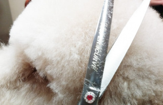 481854_scheren_kapitel_bildmaterial_25