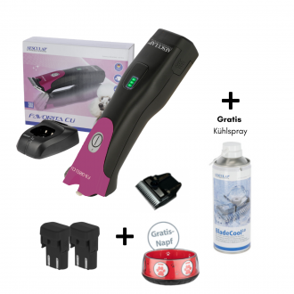 Maschine, Scherkopf,Ladestation gratisch bladecool