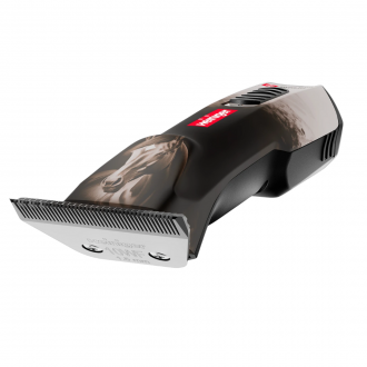 Liegende Darstellung