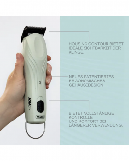 Äußerliche Merkmale